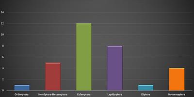 Taxonomic Analysis of Some Edible Insects From the State of Michoacán, Mexico